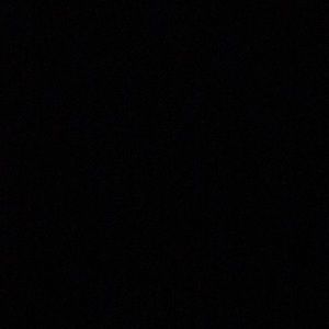 Meet your Posher, Brady